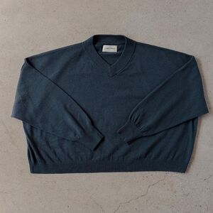 ISO James Street Co Light Vee Sweater